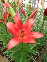 [4048 Break Out No02.JPG]